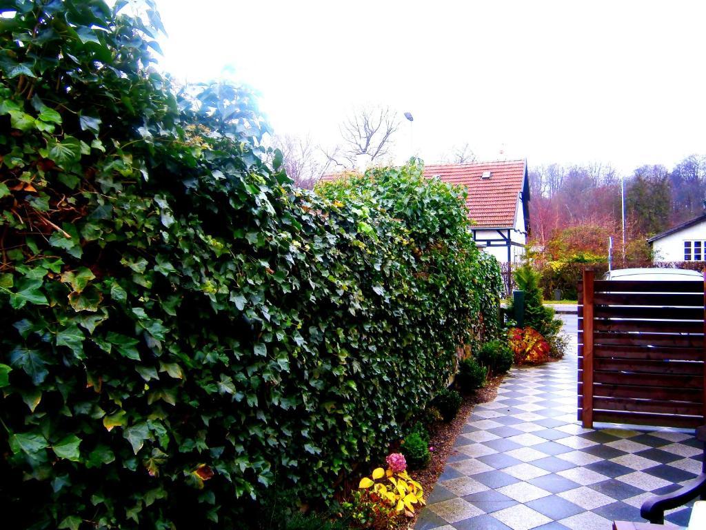 Helsingor Bed & Breakfast Екстериор снимка